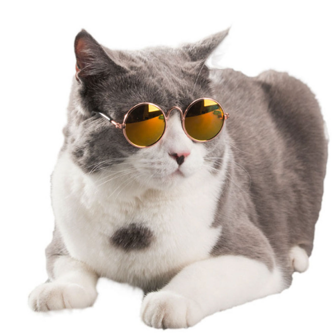 Cool Costume Cat Glasses 猫メガネ  サングラス