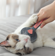 画像をギャラリービューアに読み込む, Pet Hair Comb ペット用ブラシ