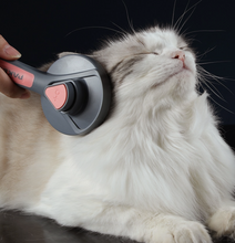 画像をギャラリービューアに読み込む, Pet Hair Comb ペット用ブラシ