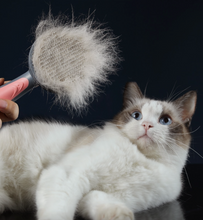 画像をギャラリービューアに読み込む, Pet Hair Comb ペット用ブラシ

