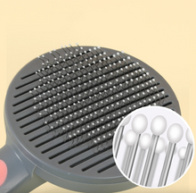 画像をギャラリービューアに読み込む, Pet Hair Comb ペット用ブラシ