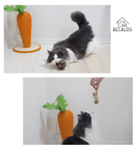 画像をギャラリービューアに読み込む, 【Japan Limited】Catnip Balls 3-PCS Set 天然マタタビキャットニップボール3点セット(即納)