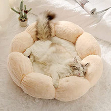画像をギャラリービューアに読み込む, Cute Flower Shape Cat Bed 可愛い花型ペット