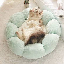 画像をギャラリービューアに読み込む, Cute Flower Shape Cat Bed 可愛い花型ペット
