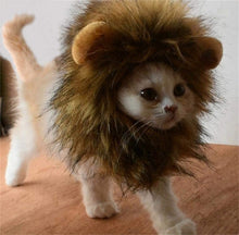 画像をギャラリービューアに読み込む, Cute Lion Mane Cat Wig Hat ライオンコスプレキャップ
