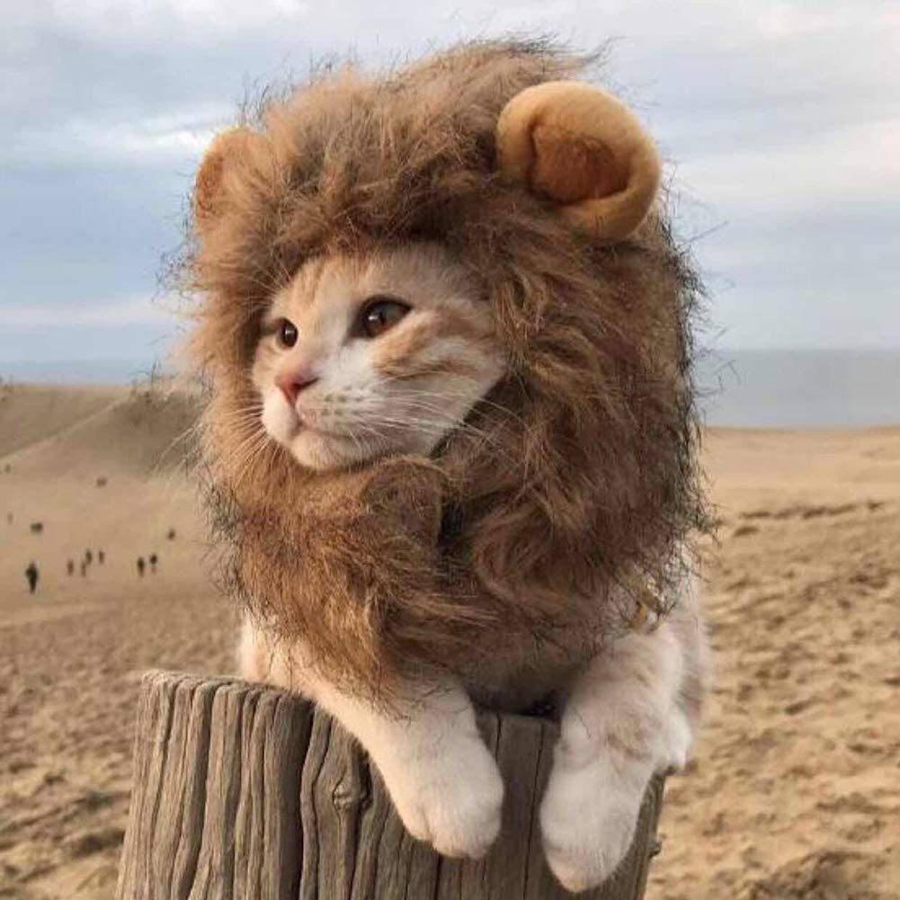 Cute Lion Mane Cat Wig Hat ライオンコスプレキャップ