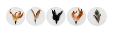 画像をギャラリービューアに読み込む, 【Japan Limited】Interactive Cat Feather Wands 9-PCS Set 天然羽根猫じゃらし9点セット(即納)