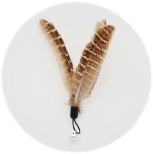 画像をギャラリービューアに読み込む, 【Japan Limited】Interactive Cat Feather Wands 9-PCS Set 天然羽根猫じゃらし9点セット(即納)