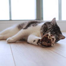 画像をギャラリービューアに読み込む, 【Japan Limited】Catnip Balls 3-PCS Set 天然マタタビキャットニップボール3点セット(即納)