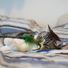 画像をギャラリービューアに読み込む, 【Japan Limited】Candy Shaped Cat Wand Set キャンディー型猫じゃらしセット(即納)