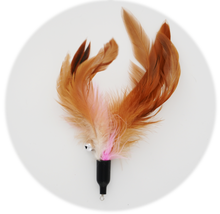 画像をギャラリービューアに読み込む, 【Japan Limited】Interactive Cat Feather Wands 9-PCS Set 天然羽根猫じゃらし9点セット(即納)