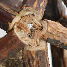 画像をギャラリービューアに読み込む, 【Japan Limited】Catnip Balls 3-PCS Set 天然マタタビキャットニップボール3点セット(即納)