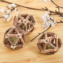 画像をギャラリービューアに読み込む, 【Japan Limited】Catnip Balls 3-PCS Set 天然マタタビキャットニップボール3点セット(即納)