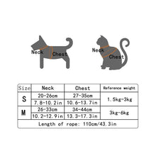 画像をギャラリービューアに読み込む, Cartoon Bear Harness and Leash Set 熊柄ハーネス 牽引ロープ