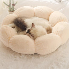 画像をギャラリービューアに読み込む, Cute Flower Shape Cat Bed 可愛い花型ペット