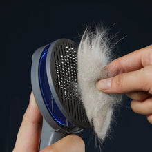 画像をギャラリービューアに読み込む, Pet Hair Comb ペット用ブラシ
