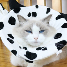画像をギャラリービューアに読み込む, Cute Cows Cats Elizabeth Circle 可愛い牛型エリザベスカラー