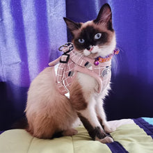 画像をギャラリービューアに読み込む, Cat Harness and Leash Set 猫ハーネス 牽引ロープ