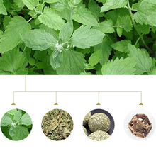 画像をギャラリービューアに読み込む, 【Japan Limited】Catnip Balls 3-PCS Set 天然マタタビキャットニップボール3点セット(即納)