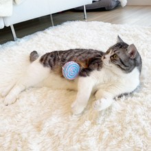 画像をギャラリービューアに読み込む, 【Japan Limited】Candy Shaped Cat Wand Set キャンディー型猫じゃらしセット(即納)