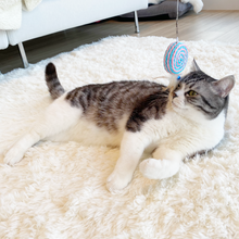 画像をギャラリービューアに読み込む, 【Japan Limited】Candy Shaped Cat Wand Set キャンディー型猫じゃらしセット（即納）
