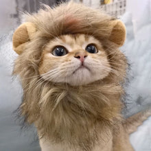 画像をギャラリービューアに読み込む, Cute Lion Mane Cat Wig Hat ライオンコスプレキャップ