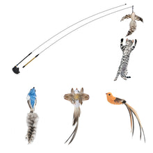 画像をギャラリービューアに読み込む, Cat Two Modes Teaser Wand 羽の猫じゃらし