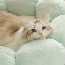 画像をギャラリービューアに読み込む, Cute Flower Shape Cat Bed 可愛い花型ペット