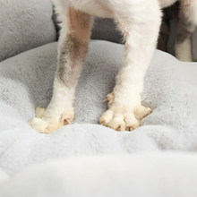 画像をギャラリービューアに読み込む, Cute Flower Shape Cat Bed 可愛い花型ペット