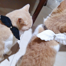 画像をギャラリービューアに読み込む, Angel Pet Collar 天使の翼 ペットお散歩用首輪