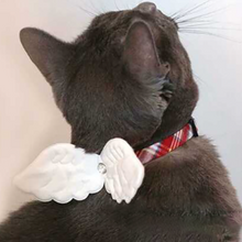 画像をギャラリービューアに読み込む, Angel Pet Collar 天使の翼 ペットお散歩用首輪