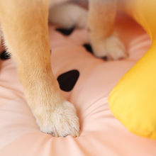 画像をギャラリービューアに読み込む, Summer Cooling Pet Mat 可愛い冷感ジェルマット