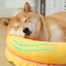 画像をギャラリービューアに読み込む, Summer Cooling Pet Mat 可愛い冷感ジェルマット