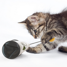 画像をギャラリービューアに読み込む, Tumbler Swing Toy for Cats 自動回転の猫おもちゃ