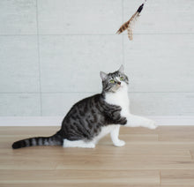 画像をギャラリービューアに読み込む, 【Japan Limited】Interactive Cat Feather Wands 9-PCS Set 天然羽根猫じゃらし9点セット(即納)