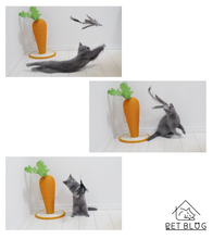 画像をギャラリービューアに読み込む, 【Japan Limited】Interactive Cat Feather Wands 9-PCS Set 天然羽根猫じゃらし9点セット(即納)