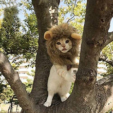 画像をギャラリービューアに読み込む, Cute Lion Mane Cat Wig Hat ライオンコスプレキャップ

