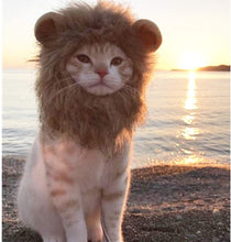 画像をギャラリービューアに読み込む, Cute Lion Mane Cat Wig Hat ライオンコスプレキャップ

