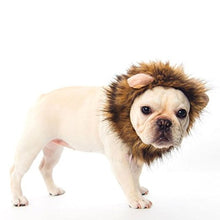 画像をギャラリービューアに読み込む, Cute Lion Mane Cat Wig Hat ライオンコスプレキャップ
