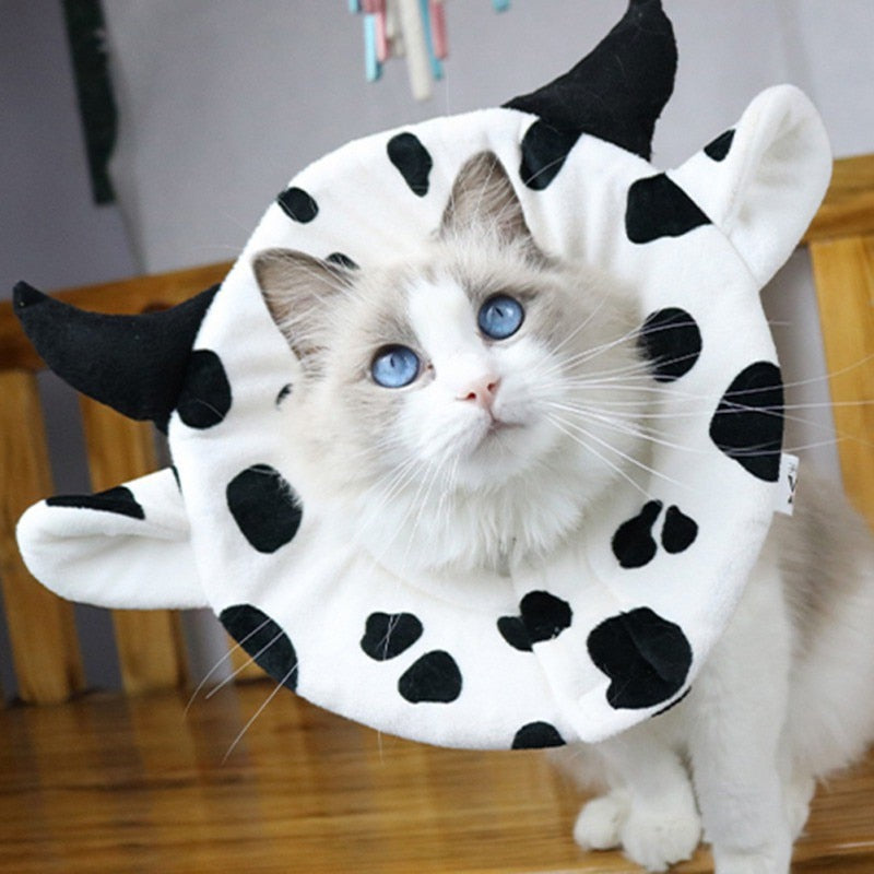 Cute Cows Cats Elizabeth Circle 可愛い牛型エリザベスカラー