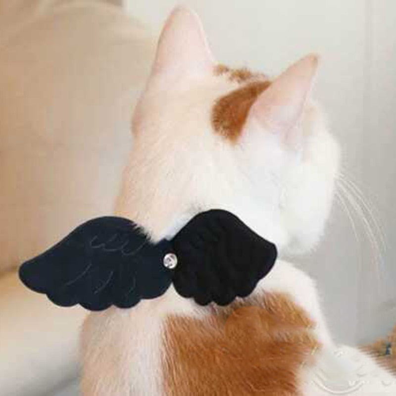 Angel Pet Collar 天使の翼 ペットお散歩用首輪