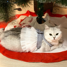 画像をギャラリービューアに読み込む, Cute Pet Dress おしゃれワンピース
